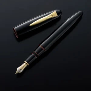 Platinum Izumo Tamenuri Akatame PIZ Ebonite 18K F/M/B Nib Fountain pen